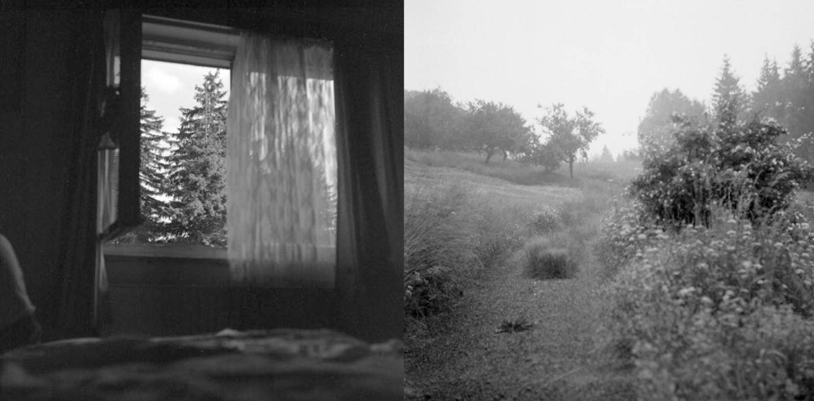 Z cyklu Pokoje a cesty, Léskové, 1992, fotografie, Flexaret IV, digi-tisk, 500x1000 mm