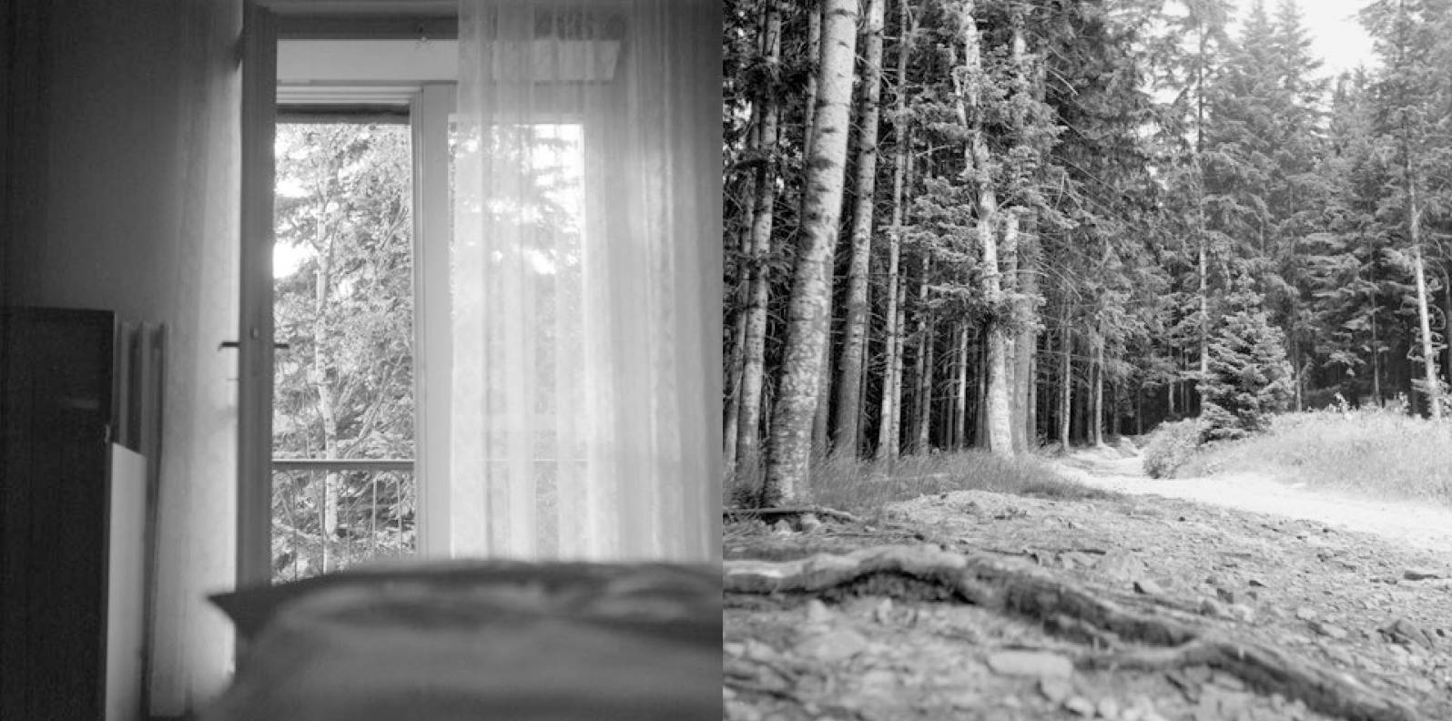 Z cyklu Pokoje a cesty, Miloňov, 1993, fotografie, Flexaret IV, digi-tisk, 500 x 1000 mm