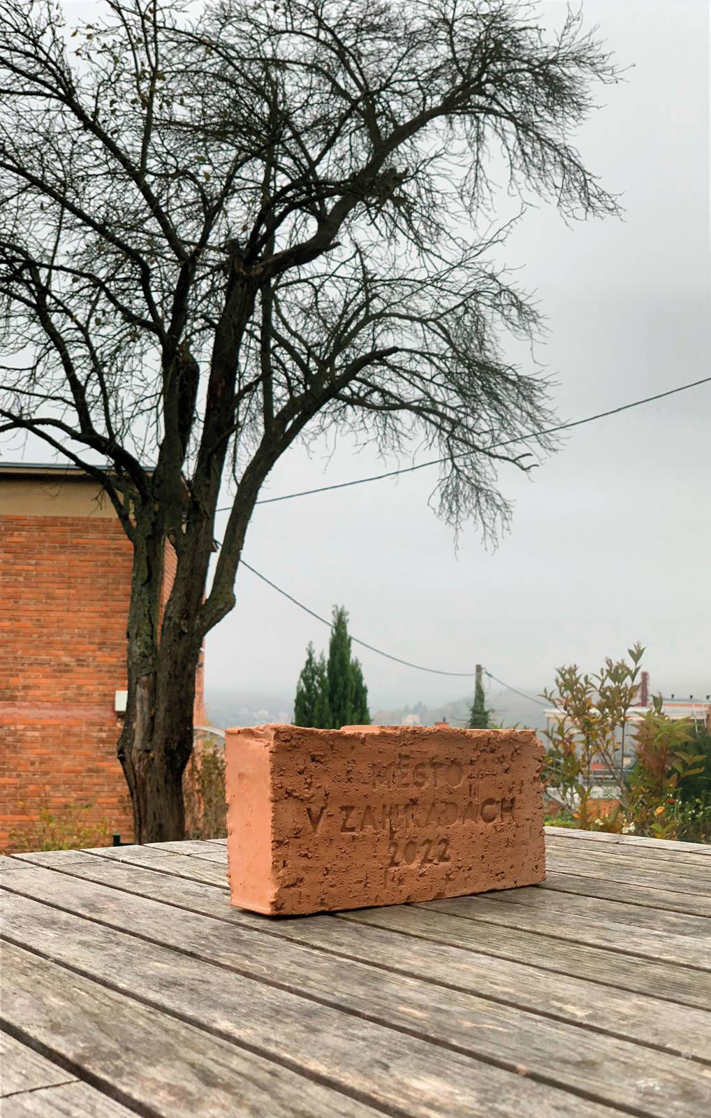 Z cyklu Šablony a Kódy, 35 autorských, ručně zpracovaných cihel, 2022,