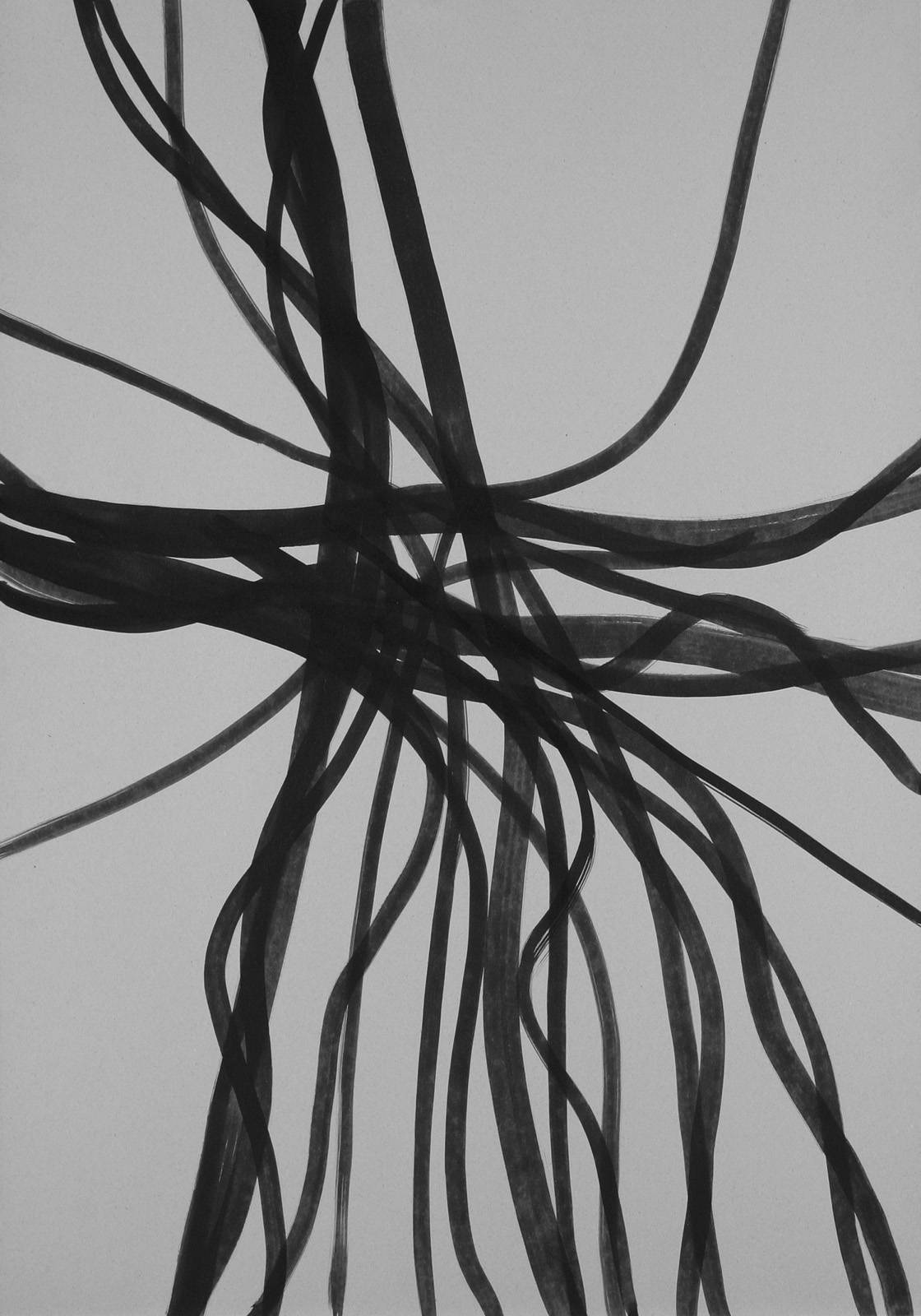 Z cyklu Vistárie, 2000, 841 x 594 mm