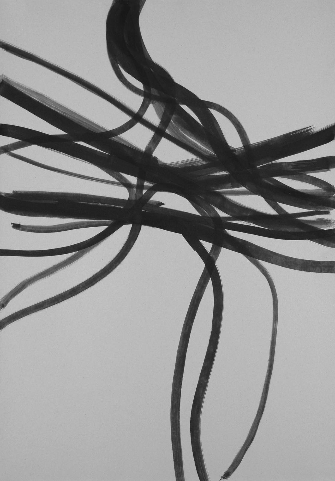 Z cyklu Vistárie, 2000, tuš, šedý karton, 841 x 594 mm