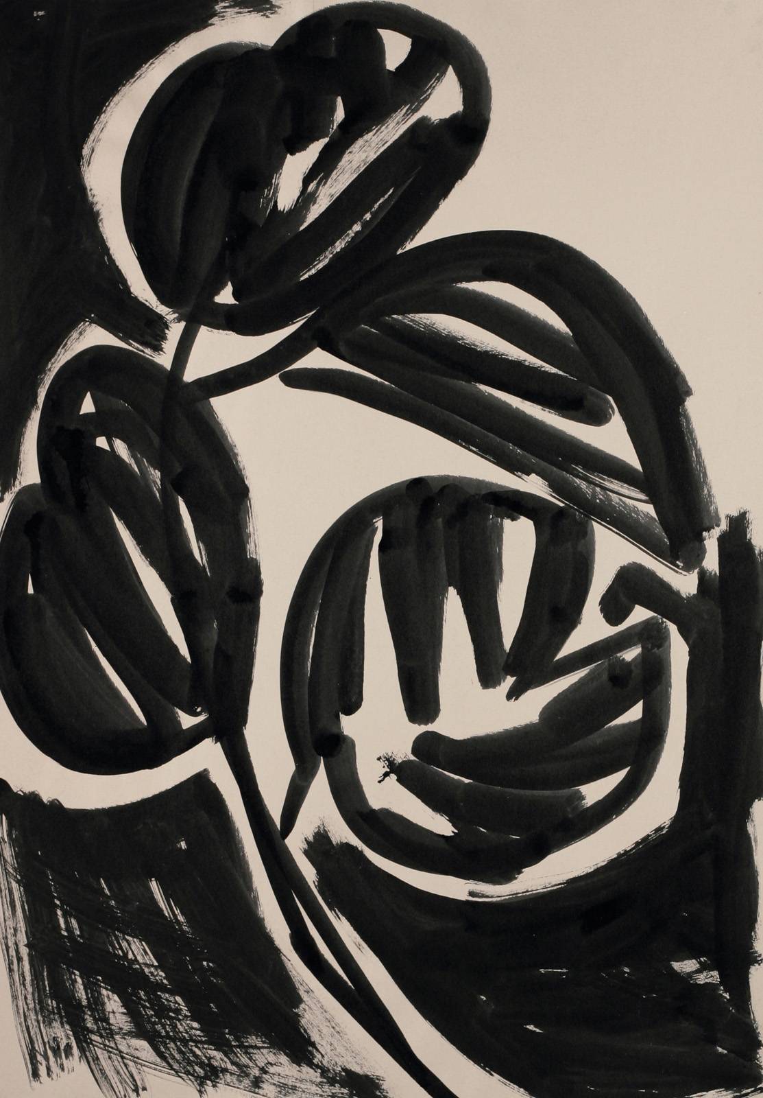 Monstera deliciosa, 1986, 1000 x 700 mm