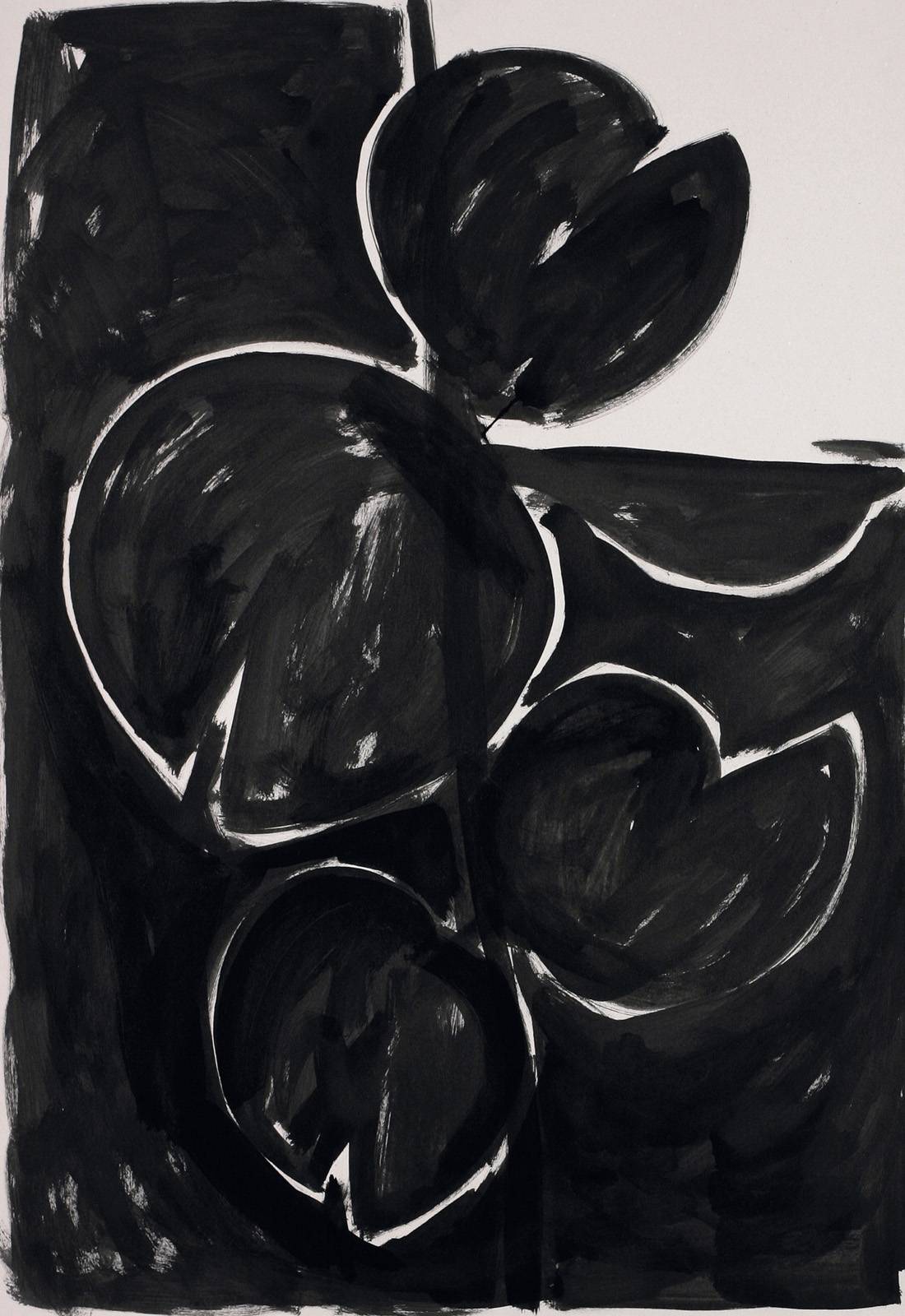 Monstera deliciosa, 1986, 1000 x 700 mm