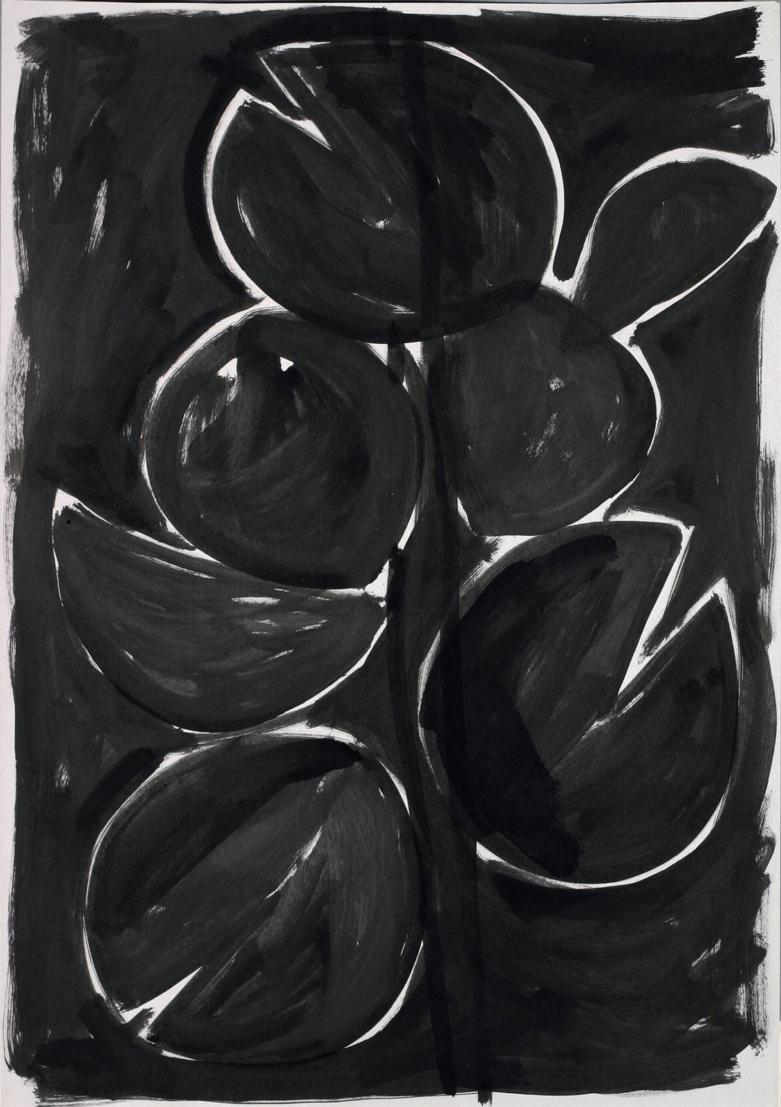 Monstera deliciosa, 1986, 1000 x 700 mm