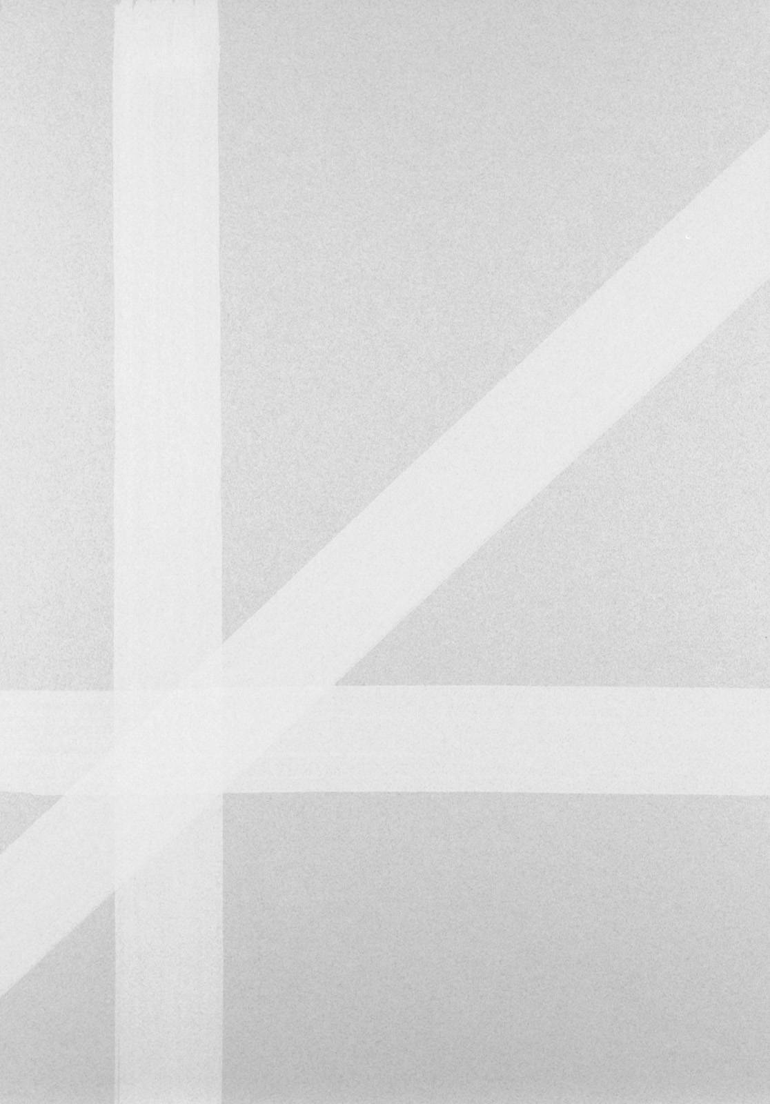 Bílá na šedé, z cyklu Rastry – architektura, 2002, 700 x 500 mm