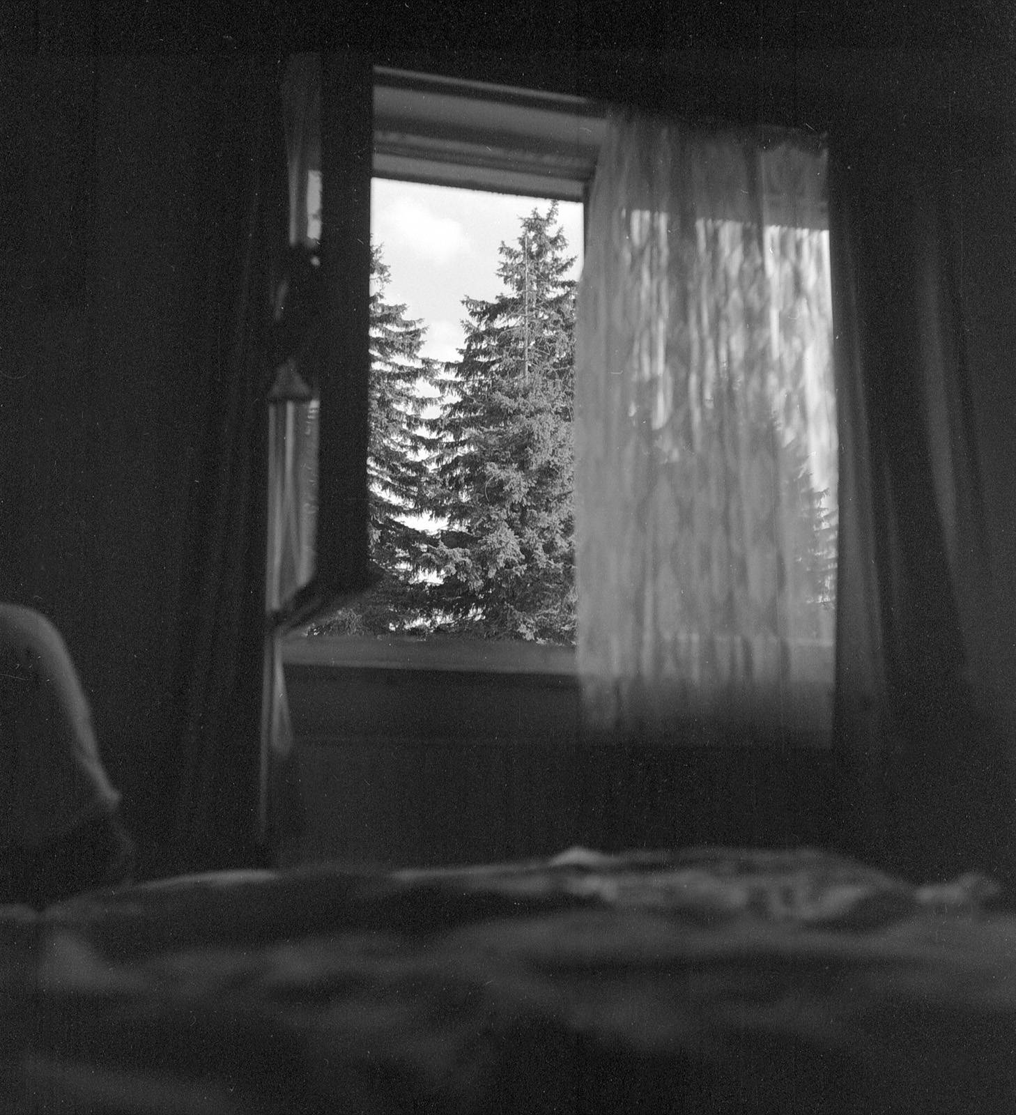 Recenze výstavy Zdeněk Macháček ve Fotogalerii Dios ve Zlíně (7. 11. – 30. 12. 1998), Prostor Zlín, 1998, č. 6, s. 10–11.