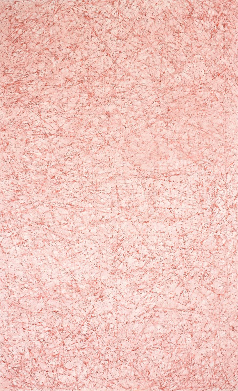 Z cyklu Město v zahradách, 2005, laťovka, olej, grafit, mastný pastel, 200 x 125 cm