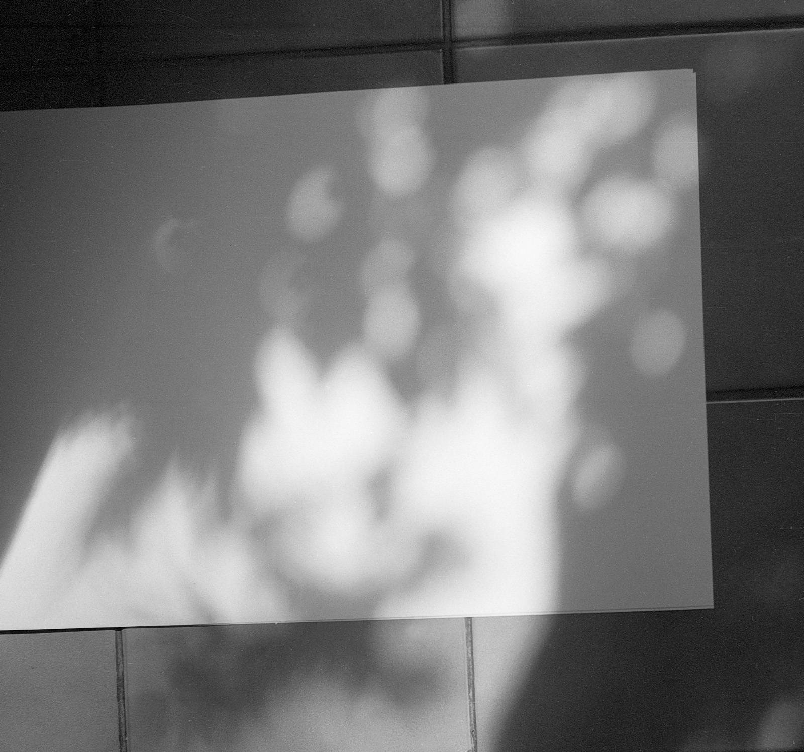 Z cyklu Světlo – Vistárie, 1995, karton