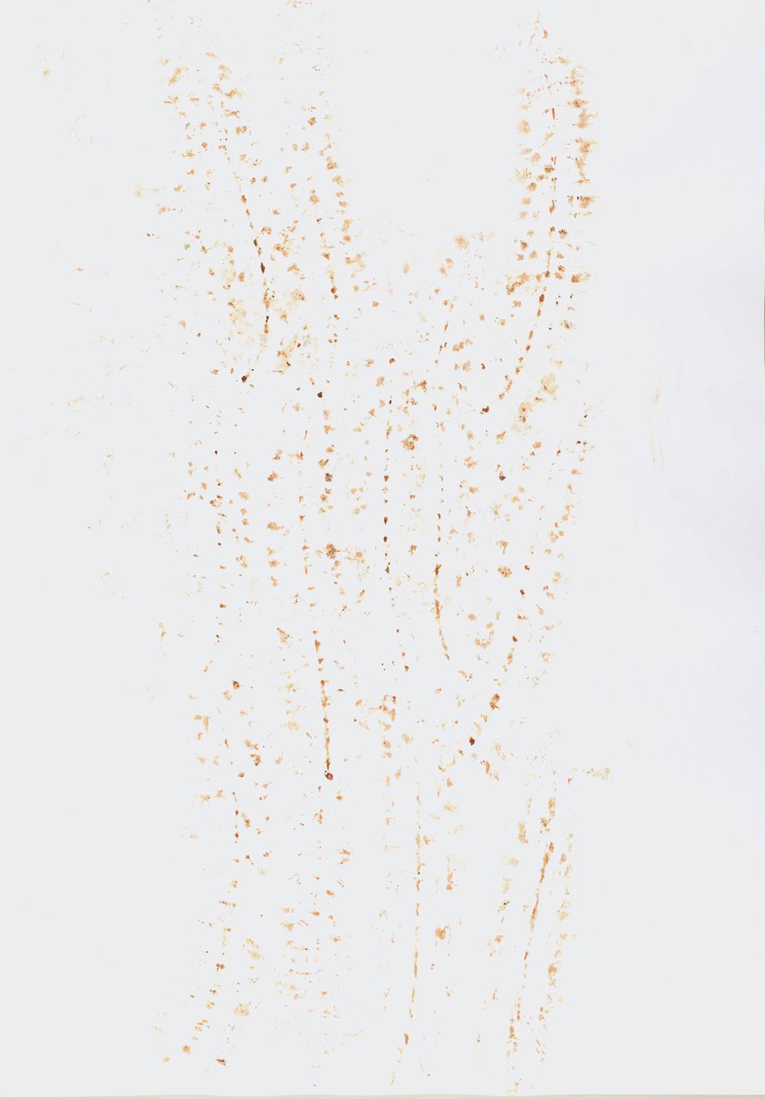 Z cyklu Terasa, 2000, otisk pigmentu květů vistárie, grafický papír, 841 x 594 mm