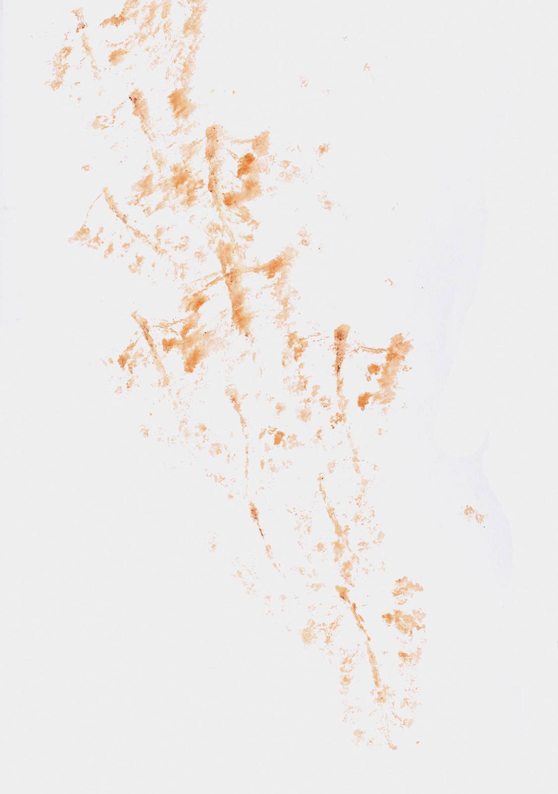 Z cyklu Terasa, 2000, otisk pigmentu květů kaštanu, grafický papír, 841 x 594 mm