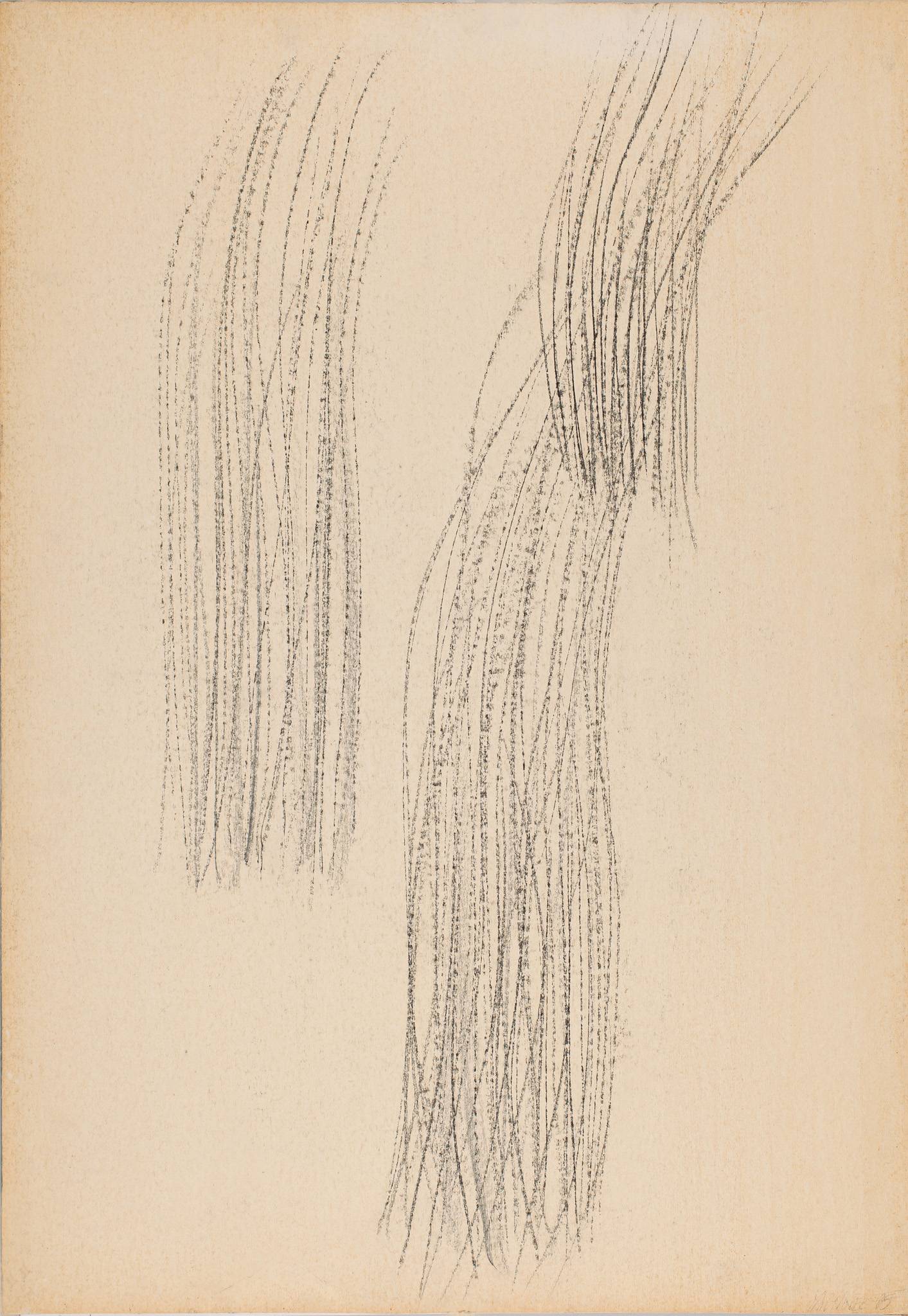 Vodní trávy /Kameničky/, 1985, 1000 x 700 mm