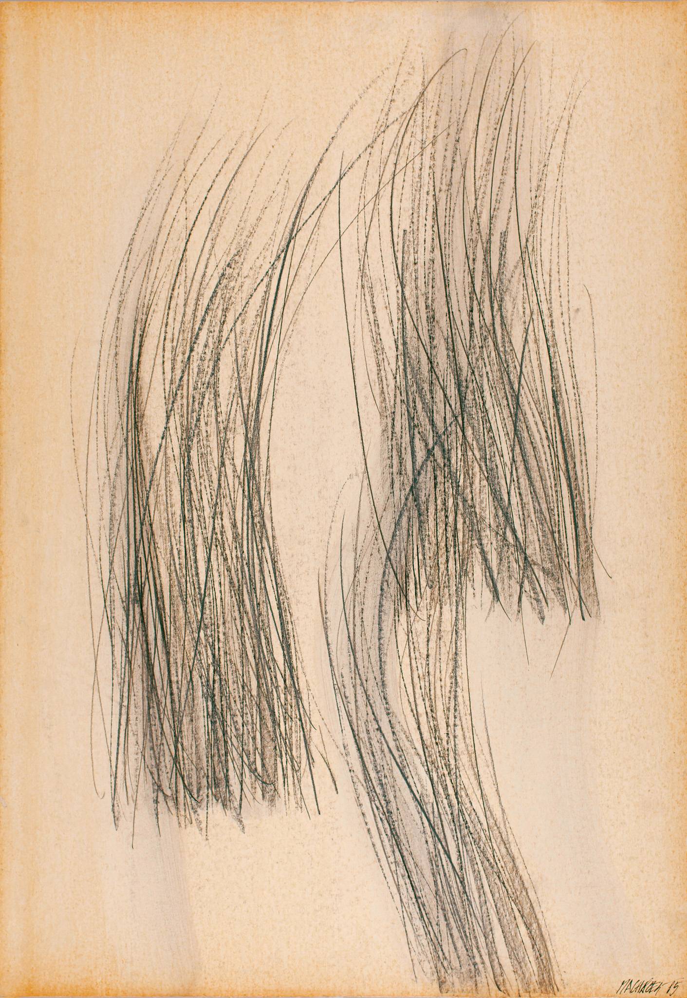 Vodní trávy /Kameničky/, 1985, tužka, akvarel, karton, 1000 x 700 mm