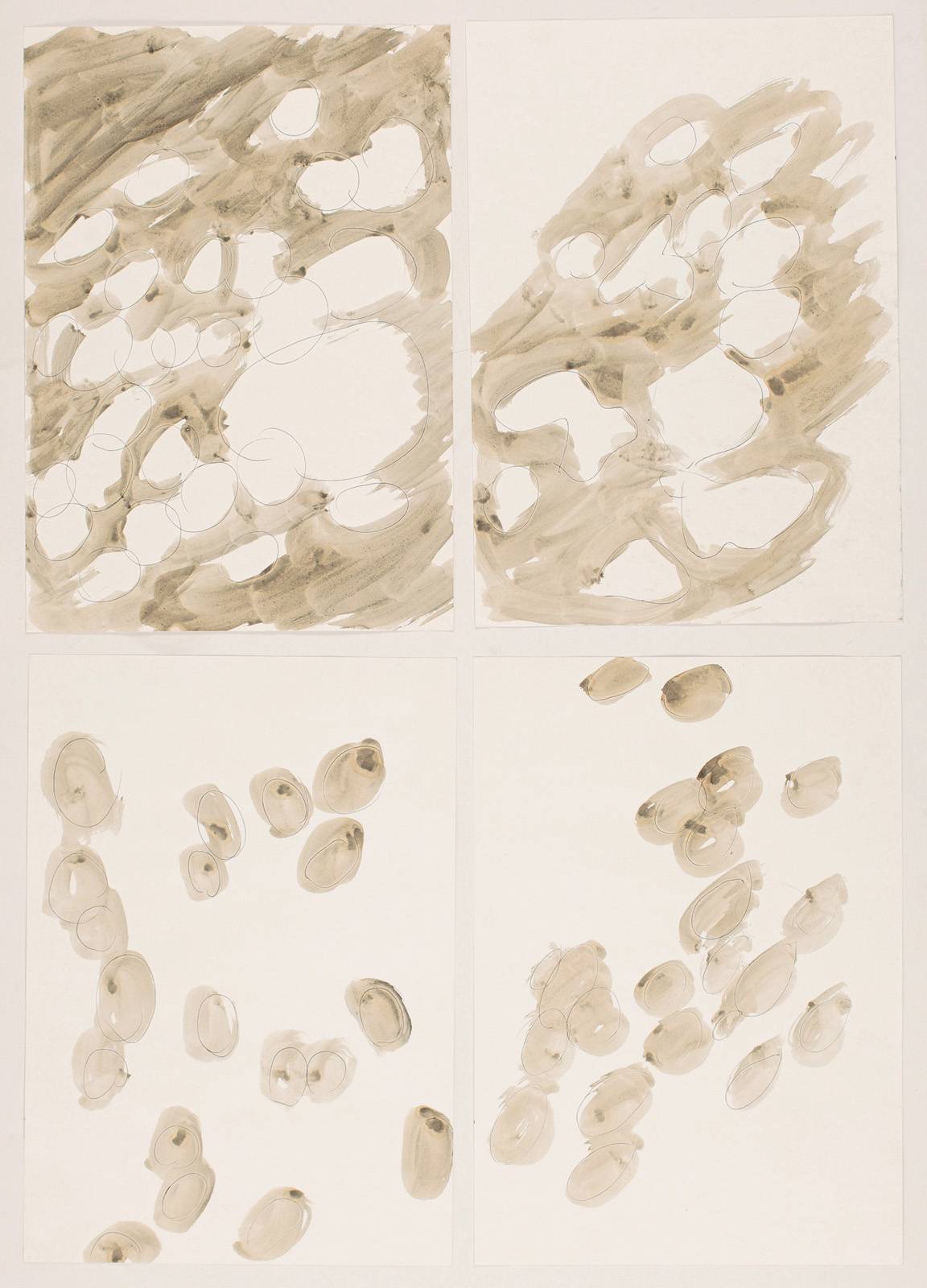 Z cyklu Světlo – Vistárie, 1995, duběnkový inkoust, tuš, karton, 420 x 297 mm